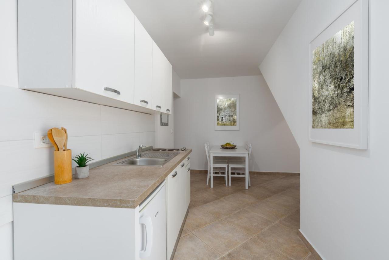 Apartments Agata Novigrad Istria エクステリア 写真